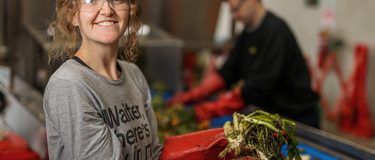 Fighting Food Waste: What is the problem, and how do we solve it?
